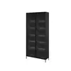 Buy Trend TR-07 Tall Display Cabinet 92cm, Colour: Black Matt, Item Width: 34 from Furnituretta