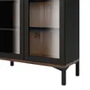 Buy Elegant Glazed Cabinet with Two Doors in Black Finish, 10 from Furnituretta