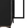 Buy Elegant Glazed Cabinet with Two Doors in Black Finish, 11 from Furnituretta
