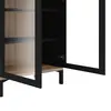 Buy Elegant Glazed Cabinet with Two Doors in Black Finish, 12 from Furnituretta