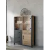 Buy Olin 44 Display Cabinet, 3 from Furnituretta