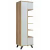 Buy Bogota Tall Cabinet from Furnituretta
