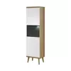 Buy Primo Tall Display Cabinet from Furnituretta
