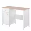 Buy Luna LN-03 Computer Desk from Furnituretta