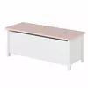 Buy Luna LN-10 Toy Box from Furnituretta