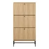 Buy Albany Shoe Cabinet: Stylish Storage with Flip-Down Doors, 2 from Furnituretta