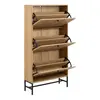 Buy Albany Shoe Cabinet: Stylish Storage with Flip-Down Doors, 4 from Furnituretta