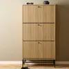 Buy Albany Shoe Cabinet: Stylish Storage with Flip-Down Doors, 5 from Furnituretta