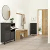 Buy Stylish Black Barcelona Shoe Cabinet with 4 Flip-Down Doors, 6 from Furnituretta