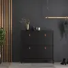 Buy Stylish Black Barcelona Shoe Cabinet with 4 Flip-Down Doors, 8 from Furnituretta