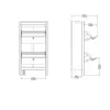 Buy Barcelona Shoe Cabinet: Flip-Down Doors for Easy Access, 10 from Furnituretta