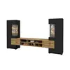 Buy Coby 10 Entertainment Unit Black: Sleek & Functional, Colour: Black, Item Width: 270, 6 from Furnituretta