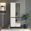 Buy Elegant Cashmere Taupe Shoe Cabinet – Tall & Functional Design, Colour: Taupe from Furnituretta