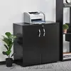 Buy Vinsetto 2-Tier Locking Office Storage Cabinet File Organisation, 2 from Furnituretta