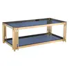 Buy Cleveland Coffee Table – Grey Glass with Gold Frame, Colour: Grey, Item Width: 100, 3 from Furnituretta