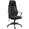 Buy Vinsetto Ergonomic Office Chair, High Back Computer Chair, Mesh Desk Chair with Lumbar Support, Headrest, Wheel, Adjustable Height, Black from Furnituretta