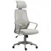 Buy Vinsetto Ergonomic Office Chair, High Back Computer Chair, Mesh Desk Chair with Lumbar Support, Headrest, Wheel, Adjustable Height, Grey from Furnituretta