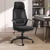 Buy Vinsetto Ergonomic Office Chair, High Back Computer Chair, Mesh Desk Chair with Lumbar Support, Headrest, Wheel, Adjustable Height, Black, 2 from Furnituretta