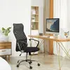 Buy HOMCOM Ergonomic Office Chair Mesh Chair with Adjustable Height Tilt Function Black, 2 from Furnituretta