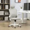 Buy Vinsetto Multi-Adjustable Office Chair, with Lumbar Support, Headrest and Mesh Back - Grey, 2 from Furnituretta