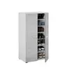 Buy Ware Shoe Cupboard Capacity 12-21 pairs Grey and White, 2 from Furnituretta