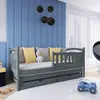 Buy Wooden Bed Galaxy with Trundle and Storage, Colour: Graphite, Mattresses: Without Mattresses from Furnituretta