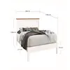 Buy Ascot Single Bed: Sleek & Durable, Colour: White, Size: 3ft/Single, Item Width: 98, 3 from Furnituretta