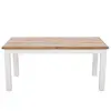 Buy Alfie Dining Table 170Cm Solid Mango Wood, 9 from Furnituretta