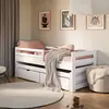 Buy Wooden Double Bed Senso with Trundle and Storage White Matt, Colour: White Matt, Mattresses: Foam Mattresses, 4 from Furnituretta