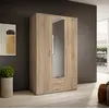 Buy Karl Hinged Door Wardrobe – Oak Sonoma Finish, 120 cm Wide, Colour: Oak Sonoma, Item Width: 120 from Furnituretta