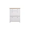 Buy Astbury Shoe Cabinet: Sleek & Functional Design, 2 from Furnituretta
