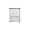 Buy Astbury Shoe Cabinet: Sleek & Functional Design, 3 from Furnituretta