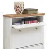 Buy Astbury Shoe Cabinet: Sleek & Functional Design, 5 from Furnituretta