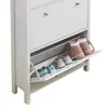 Buy Astbury Shoe Cabinet: Sleek & Functional Design, 6 from Furnituretta