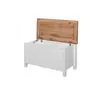 Buy Astbury Blanket Box: Sleek & Functional Design, 4 from Furnituretta