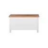 Buy Astbury Blanket Box: Sleek & Functional Design, 3 from Furnituretta