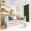 Buy Wooden Double Bed Daniel with Trundle and Storage White Matt, Colour: White Matt, Mattreses: Foam/Bonnell Mattresses from Furnituretta