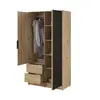 Buy Nelly Hinged Door Wardrobe Oak Artisan 105cm, Colour: Oak Artisan, Item Width: 105, 4 from Furnituretta