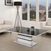 Buy Aldridge High Gloss Coffee Table – White & Black | Modern Elegance, Colour: Black/White, 5 from Furnituretta