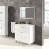 Buy Mole Bathroom Vanity Sink with Cupboard White Gloss from Furnituretta