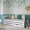 Buy Wooden Double Bed Amelka with Trundle and Storage, Colour: White Matt, Mattreses: Without Mattresses from Furnituretta