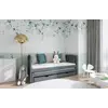 Buy Wooden Double Bed Amelka with Trundle and Storage, Colour: Graphite, Mattreses: Foam Mattresses from Furnituretta