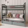 Buy Space-Saving Sleep & Storage: Gabi Bunk Bed Graphite with Drawers, Colour: Graphite, Mattresses: Foam Mattresses from Furnituretta