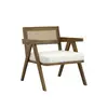 Buy Arizona Smoked Ecru Chair | Contemporary Accent Armchair from Furnituretta