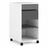 Buy Get Organized with Function Plus File Cabinet from Furnituretta