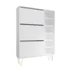 Buy Keep Your Entryway Tidy with Monaco White Shoe Cabinet, 4 from Furnituretta