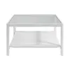 Buy Ray Coffee Table in White Matte Grain with Glass Top, Colour: White from Furnituretta
