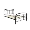 Buy Halston Black Metal Bed – King (5ft), Colour: Black, Bed Size: King (5ft), 4 from Furnituretta