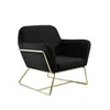 Buy Charles Black Velvet Armchair with Brushed Gold Frame, Colour: Black, 3 from Furnituretta