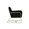 Buy Charles Black Velvet Armchair with Brushed Gold Frame, Colour: Black, 4 from Furnituretta